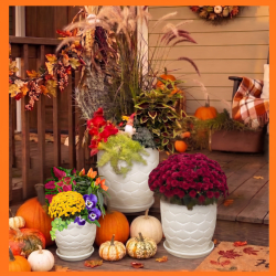 Workshop Fall Triple Urn in Ceramic Pots