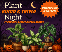 Plant Trivia & Game Night