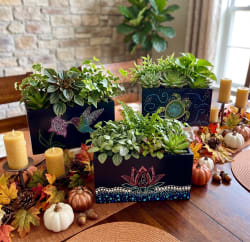 Workshop Dot-Painting Planter