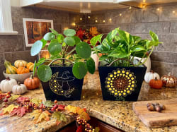 Workshop Dot-Painting Planter