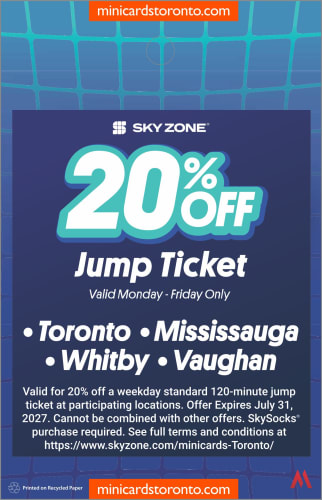 Sky Zone Trampoline Park