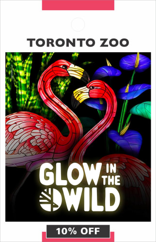 Toronto Zoo - Glow in the Wild