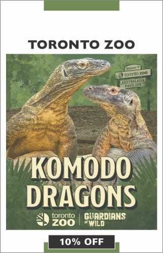 Toronto Zoo - Komodo Dragon